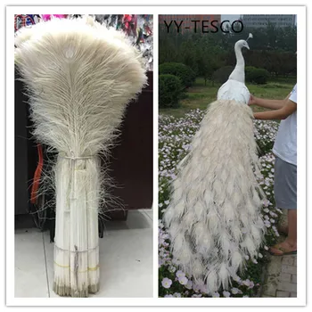 Hulgi 20pcs ilus valge paabulind sulgi silma 70-80 cm / 28-32 tolline dekoratiivsed pidu staadiumis täitmiseks diy