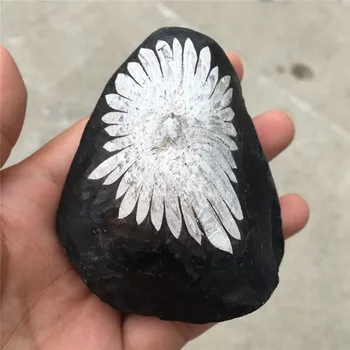 Looduslik kvarts kristalli chrysanthemum kivi mineraalse isend punkti healing home decor 1