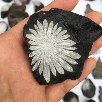 Looduslik kvarts kristalli chrysanthemum kivi mineraalse isend punkti healing home decor 5